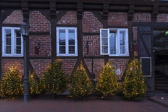 Christmas trees illuminated in front of a historic Witshaus