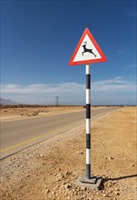 Deer warning road sign