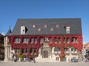 Historic town hall in red autumn leaves on the market square