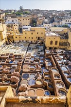 Famous tannery in medina of Fes