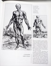 Book with detailed illustrations on human anatomy