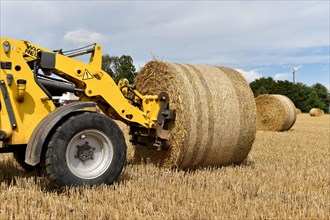 Round bales are loaded with a wheel loader