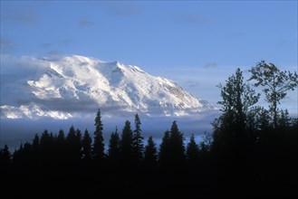 Silhouetted trees and Mount McKinley covered in snow in autumn