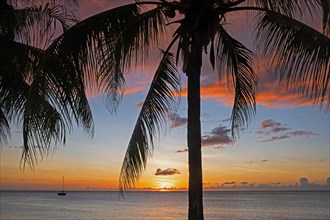 Anchored sailing boat and palm trees silhouetted against sunset sky along the west coast of the French island of Martinique in the Caribbean Sea