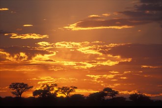 Sunset over the Kalahari desert