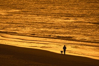 Lonesome dog owner walking along the coast with unleashed dog on sandy beach