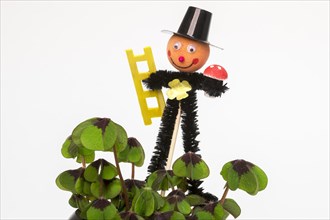 Chimney sweep with lucky clover for good luck
