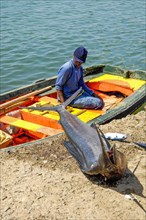 Local fisherman old man in small boat wooden boat on sea at quay wall looking at caught fish atlantic blue marlin