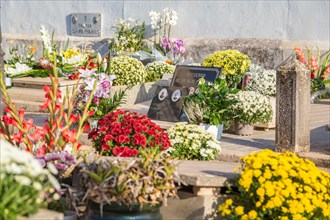 Decorated graves on All Saints' Day at Llubi Cemetery