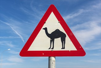 Camel crossing traffic sign