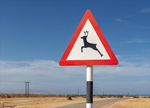 Wild animal warning road sign