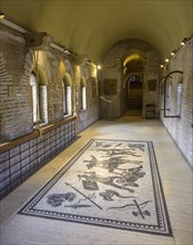 Floor mosaics in the Museo delle Mura