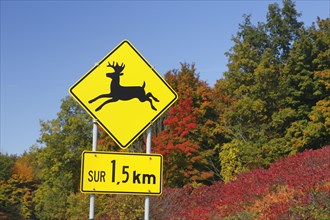 Traffic sign on country road