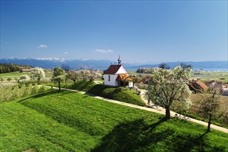 St Anthony's Chapel in Selmnau on Lake Constance