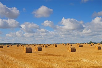 Straw bales on a harvested wheat field in Normandy