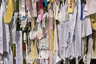Messages and flags pinned to the fence between North and South Korea within the Demilitarized Zone