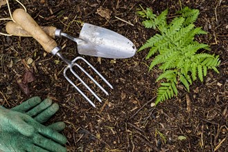 Hand trowel and fork laying on garden compost