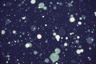 Snowflakes at night