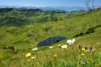 View of Lake Suenser in the Damuelser Mountains in the Bregenzerwald