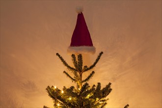 Top of a Christmas tree with a Christmas hat