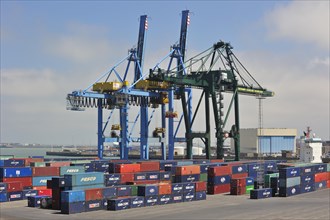Container terminal cranes at the Port of Zeebrugge