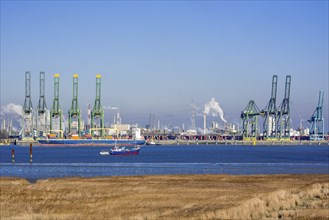 Harbor cranes and container ship docked in the Antwerp harbour