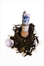 Birds nest with broken egg shell and Euro banknotes spilling out
