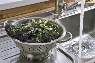 Washing vegetables in a stainless steel colander