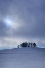 Winter atmosphere with high fog and sun in Bavaria