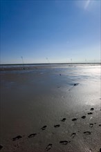 Footprints in the mudflats near Spieka Neufeld in the district of Cuxhaven