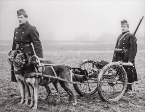 Old photograph showing Belgian carabiniers