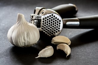 Garlic crusher or press with a bulb and cloves