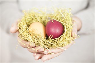 Hands holding Easter nest with two Easter eggs
