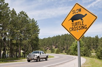 Turtle crossing sign at Stockade Lake
