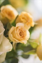 Peach coloured roses as part of a floral bouquet