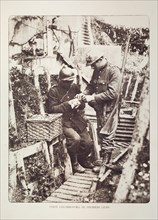 Soldiers in trench fitting messages on carrier pigeons in Flanders during the First World War