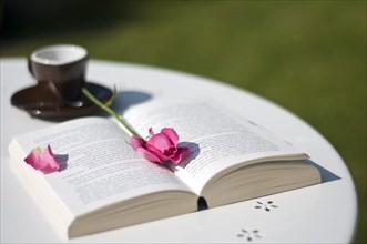 Rose lies on an open book