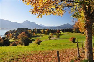 View of the Allgaeu Alps near Fuessen