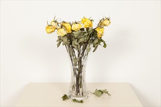 Withered bouquet of roses in a flower vase