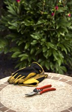 Secateurs and gloves on a garden table