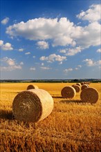 Harvested grain field with straw bales near Augsburg in Swabia