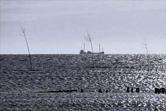 Bank reinforcement and two prigs at the harbour entrance of Spieka Neufeld