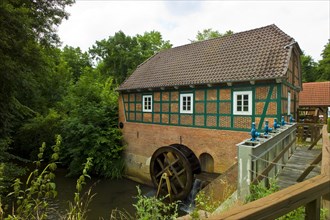 The Meyenburg watermill