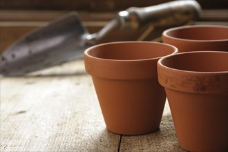 Three terracotta pots on a potting bench