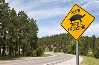 Turtle crossing sign at Stockade Lake