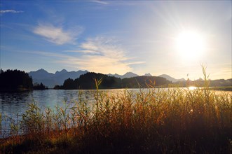 Sunset at the Forggensee