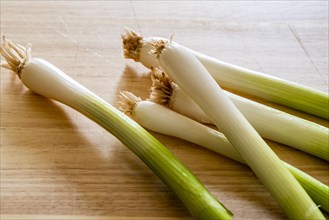 Fresh washed spring onions on a kitchen chopping board