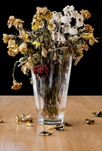 Vase of dead and decaying flowers