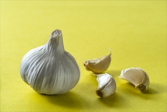 Garlic bulb and cloves on an acid yellow background