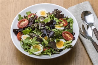 Green and purple leaf salad with tomato and egg